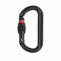 Austri-Alpin Ovalo Screw-Lock Tactical Carabiner isolated on white background